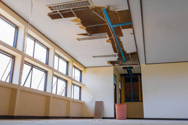 Best Water damage cleanup near me  in Tomahawk, WI