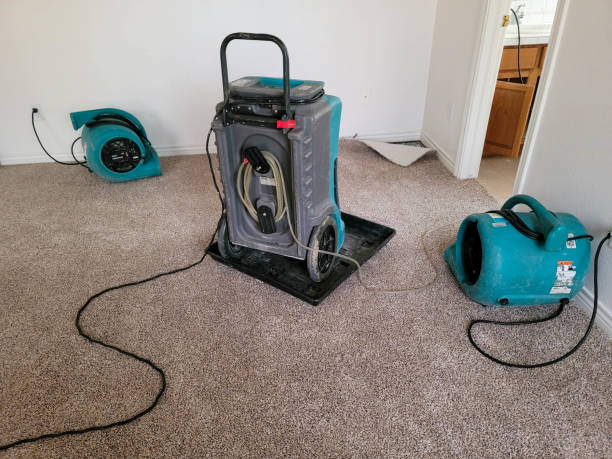 Tomahawk, WI Water damage restoration Pros