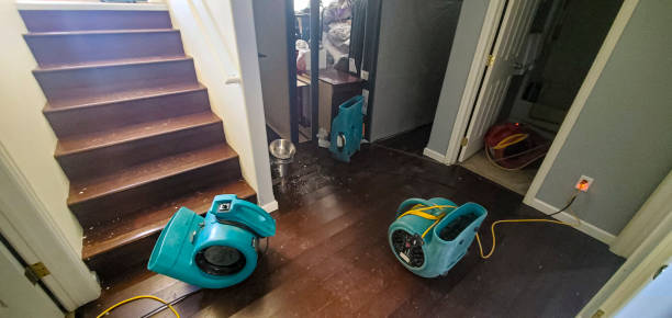 Trusted Tomahawk, WI Water damage restoration Experts