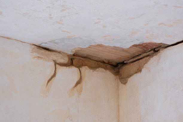 Best Ceiling water damage repair  in Tomahawk, WI