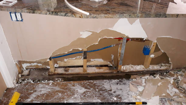 Best Mold removal after water damage  in Tomahawk, WI