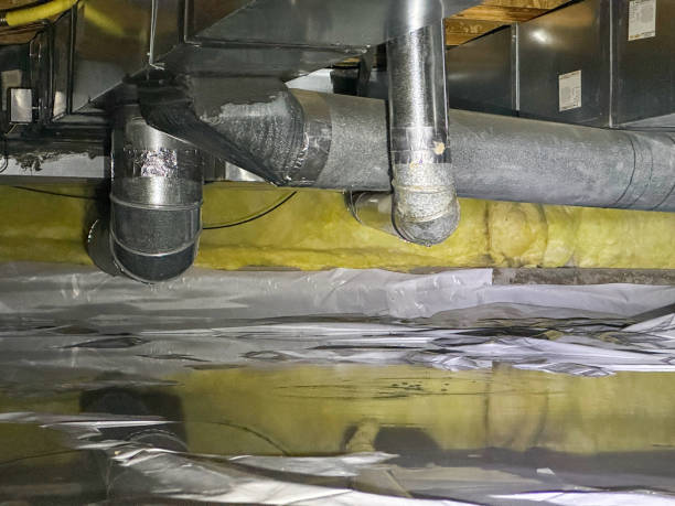 Best Flood damage cleanup  in Tomahawk, WI