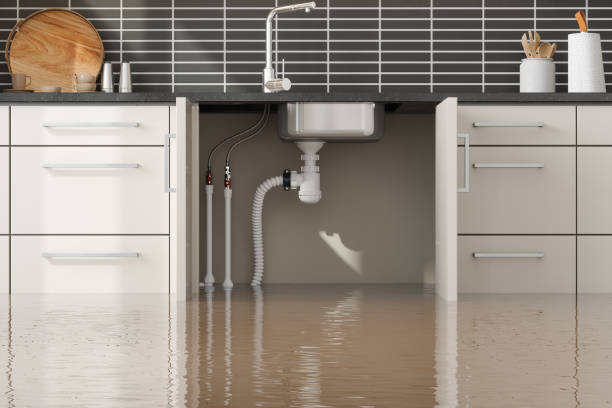 Best Commercial water damage restoration  in Tomahawk, WI